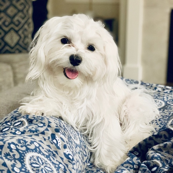 Meet your Posher, Lynsey - Picture 2 of 12